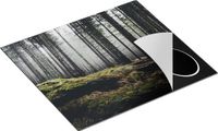 Chefcare Inductie Beschermer Bos met Mos op Rotsen - 59x52 cm - Afdekplaat Inductie - Kookplaat Beschermer - Inductie Mat