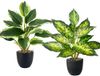 Unyqoos® Set de deux plantes artificielles réalistes pour divers styles d'intérieur