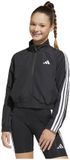Adidas Essentials Climacool Jas Zwart 14-15 Jaar Meisje