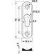 Häfele Ferrure à accrocher Plaque de tête bombée en acier galvanisé avec 1 trou oblong, 20x70x4,5 mm