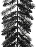 Everlands Kaemingk Berlin slinger d25l270 cm zwart kerst