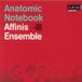 Anatomic Aurora Anatomic Notebook