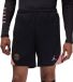Nike Paris Saint-Germain Strike Short Heren - Maat M - Zwart/Roze
