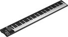 iCON Pro Audio Artist 88X USB/MIDI keyboard