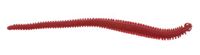 Levende!® Zandworm