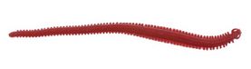 Levende!® Zandworm