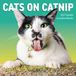 Cats Workman Publishing Cats on Catnip Wall Calendar 2027