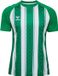 Hummel Kindertrui Match Groen/Wit - Unisex - 14 jaar