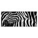 Homemania Wandfoto, zebra-dieren, voor woonkamer, slaapkamer, meerkleurig, 70 x 3 x 100 cm, HM20KNV70 x 100 – 154, polyester, hout