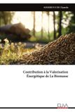 Contribution Libri GmbH Contribution à la Valorisation Énergétique de La Biomasse Paperback