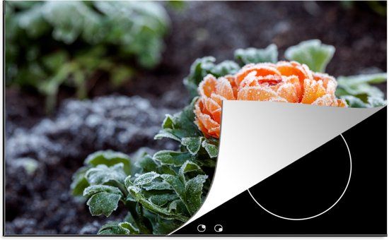 KitchenYeah® Inductie beschermer 77x51 cm - Oranje - Bloem - Winter - Inductie kookplaat accessoire