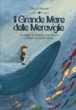 Il Grande Mare delle Meraviglie
