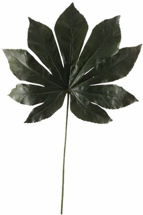 Kunst vingerplant blad 55 cm donkergroen - kunstplant
