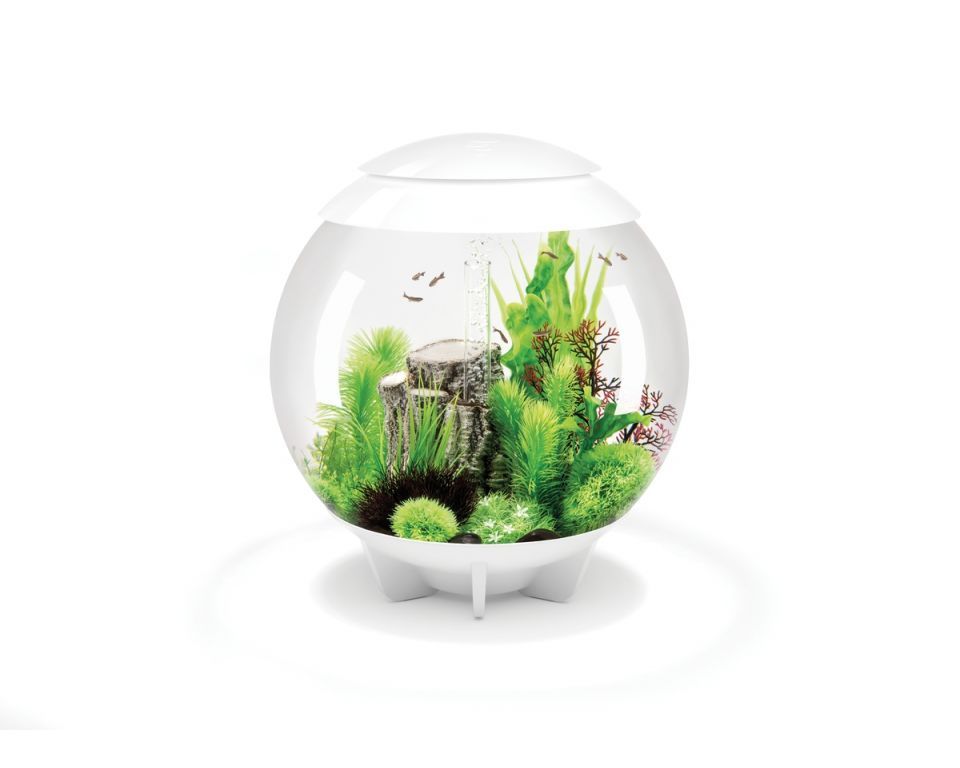 Oase biOrb HALO 60 MCR wit