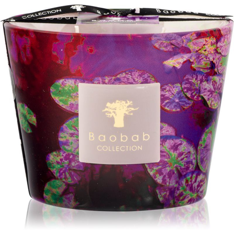 Baobab Collection Arty Flowers