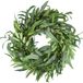Merkloos Groene Olijftak Wreath voor Seizoensdecoratie