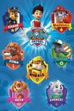 PAW Patrol Pyramid Poster - Paw Patrol Crests - 91.5 X 61 Cm - Multicolor