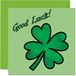 Good Luck Cards - Four Leaf Clover - You Got This Cards, Good Luck Gifts Examen Schoolkaart GCSE Uni, 145mm x 145mm Good Luck Charm Wenskaarten voor Student Vrienden Familie