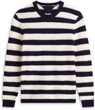 Tommy Hilfiger Heren Gebreide Trui Katoen L