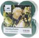 Merkloos Oase steekschuim - rond - 8x stuks - 8x5 cm - nat gebruik - voor echte bloemen - Kerststukjes maken