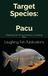 Target Species: Pacu: Mastering the Art and Science of Catching Pacu