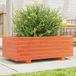 Maison Exclusive - Jardinière, brun foncé, 70x40x26,5 cm, bois massif, pin