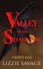 Valley Independently Published Valley of the Shadow Paperback