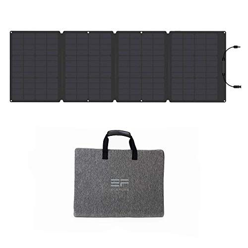 EcoFlow 110W Draagbaar Zonnepaneel - Zwart