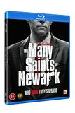SF STUDIOS De vele heiligen van Newark DVD