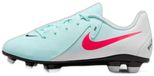 Nike Voetbalschoenen FJ2600-300 voor Kinderen