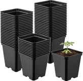 Garronda Set van 50 vierkante kunststof kweekpotten met drainagegaten voor tuin (Zwart, 9 x 9 x 9,6 cm (0,5L)) GD-KW-S