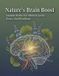 Nature'S Libri GmbH Nature's Brain Boost: Ancient Herbs For Mental Clarity, Focus, And Resilience