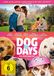 PLAION Dog Days - Herz, Hund, Happy End! (DVD)