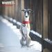 Magnet & Steel Whippet Kalender 2027 Wandkalender