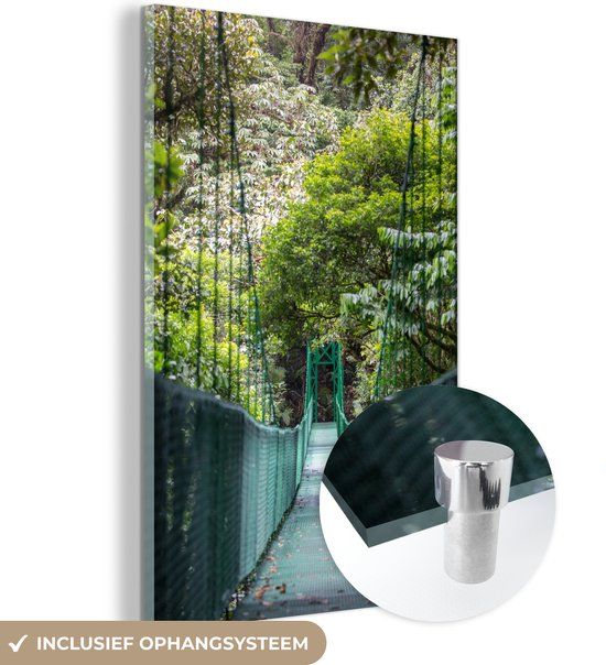 MuchoWow® Glass Painting 100x150 cm - Acrylic Glass Painting - Beautiful Hanging Bridge in the Bosque Nuboso Monteverde - Photo on Glass - Paintings