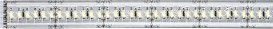 Paulmann MaxLED 1000 LED-strip daglichtwit 100 cm zilver gecoat