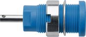 Schützinger DI SEB 6525 Ni / BL Prise de sécurité encastrée Bleu 1 pièce(s)