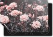 Chefcare Inductie Beschermer Roze Rozen Bloemen - 77x59 cm