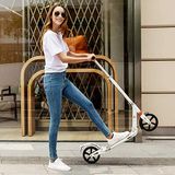 Scooter Big Wheel Scooter voor volwassenen, citystep, inklapbaar, met dubbele vering, voor kinderen vanaf 12 jaar