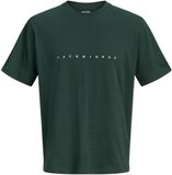 JACK & JONES JJESTAR JJ TEE SS NOOS Heren T-shirt Katoen Scarab S
