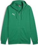 PUMA teamGOAL Casuals herenjack met capuchon, sweatshirt pullover 658595 groen