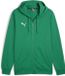 PUMA teamGOAL Casuals herenjack met capuchon, sweatshirt pullover 658595 groen