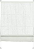 GARDINIA EasyFix Vouwgordijn, transparant, wit, 100 x 140 cm