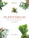 Platycerium: The Fascinating Staghorn Fern: A Collector’s Guide to Staghorn Ferns: Species, Hybrids & Cultivars