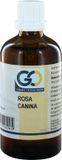 GO Gemmo Oplossingen GO Rosa canina bio 100 Milliliter