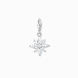 Thomas Sabo - 1863-051-14 - Charm - Dames - 925er Zilver