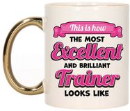 Bellatio Decorations BD Cadeau koffie/thee mok trainer/coach - excellent trainer - goud/roze - keramiek - 300 ml