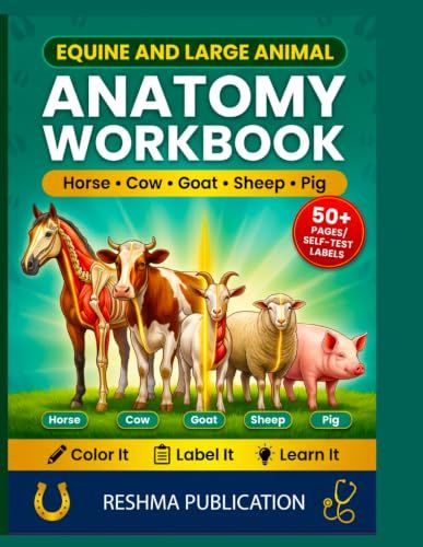 Equine and Large Animal Anatomy Workbook: An Interactive Anatomy Workbook for Veterinary Students Horse Cattle Pig anatomy Goat Sheep Farm Animal Body Systems