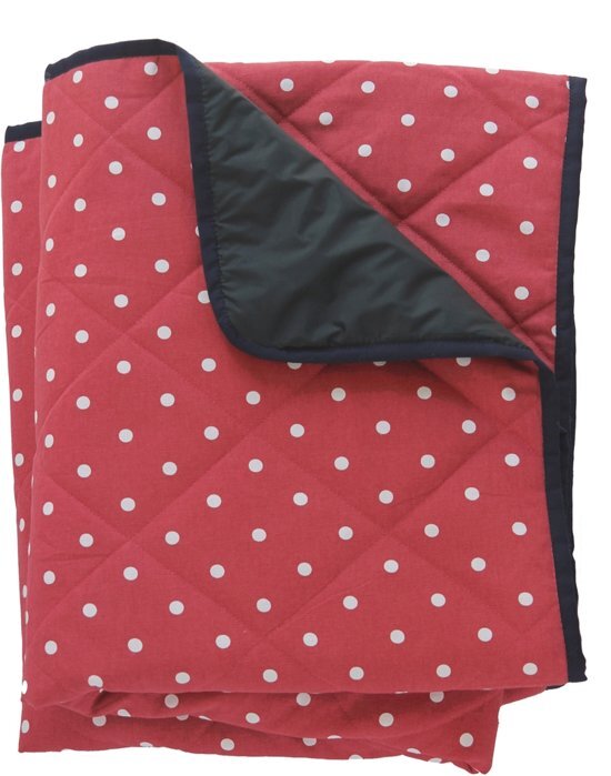 Just a Joy Gewatteerd picknickkleed rood met witte stip