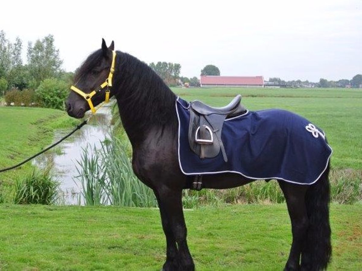 QHP Uitrijdeken Fleece Ornament - Navy/Silver - L